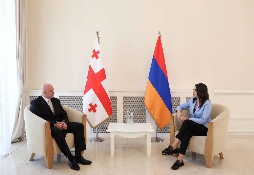 სომხეთის რესპუბლიკის შინაგან საქმეთა მინისტრი, არპინე სარგსიანი საქართველოს ოფიციალური ვიზიტით ეწვია •
