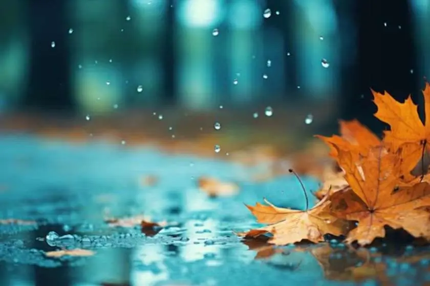 როგორი ამინდია მოსალოდნელი დღეს საქართველოში