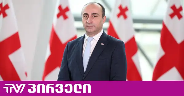 გეკა გელაძე შს მინისტრის მოადგილის თანამდებობას დაიკავებს