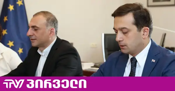იოსელიანმა სააპელაციოს ელისაშვილის საქმეზე სასამართლოს მეგობრის მოსაზრებით მიმართა