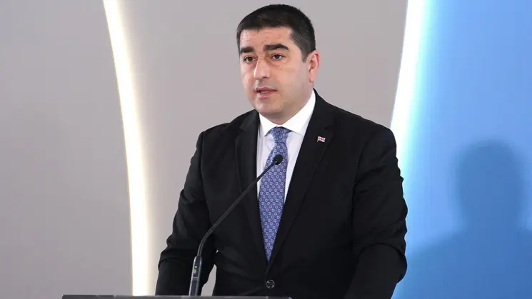"კიდევ ერთხელ გამოჩნდა "ნაცმოძრაობის" და "ალტ-ინფოს" ერთობა, ეს არის ერთიანი ქსენოფობიური ჯგუფი" - შალვა პაპუაშვილი