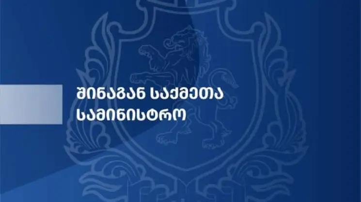 შსს-ს თანამშრომლებმა დიდი ოდენობით თანხის თაღლითურად დაუფლების ბრალდებით, ერთი პირი დააკავეს