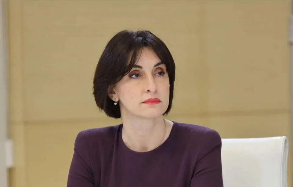 მაკა ბოჭორიშვილი: „გაეროს გენერალური ასამბლეის ფარგლებში გვექნება შესაძლებლობა, უმაღლეს დონეზე განვიხილოთ