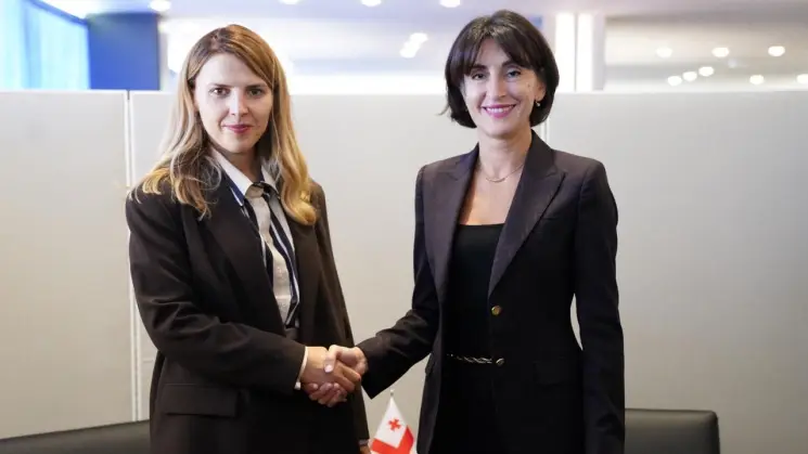 საქართველოს საგარეო საქმეთა მინისტრი ბულგარელ კოლეგას შეხვდა
