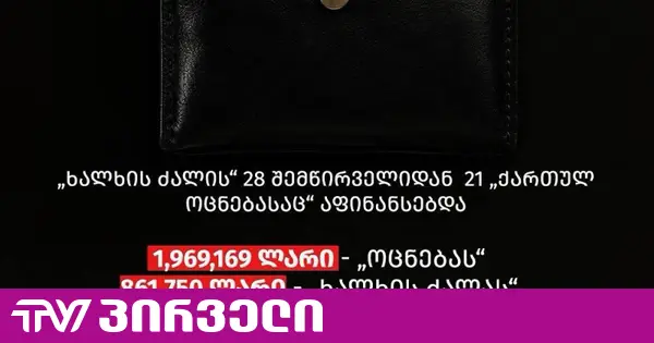 ორი პარტიის ერთი სალარო - „ხალხის ძალას” ივანიშვილის ახლო წრე აფინანსებს - TI
