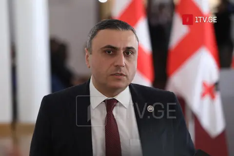 დავით მათიკაშვილი – სამარცხვინოა ისეთი გადაწყვეტილების მიღება, რომელიც პრაქტიკულად, სანქციების თავის არიდებას და კანონმდებლობის დარღვევას გულისხმობს, თან, ევროსაბჭოსგან