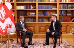 ყაველაშვილმა მოსამართლედ ზურაბიშვილის კონსტიტუციის დამრღვევად მცნობის შვილი დანიშნა