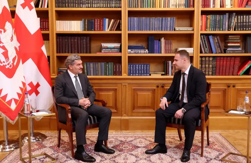 ყაველაშვილმა მოსამართლედ ზურაბიშვილის კონსტიტუციის დამრღვევად მცნობის შვილი დანიშნა