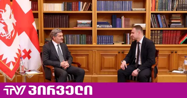 ყაველაშვილმა საკონსტიტუციო სასამართლოს მოსამართლედ გოგა კიკილაშვილი დანიშნა