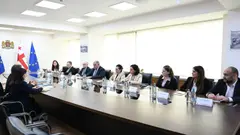 მიხეილ სარჯველაძე ჯანმოს ახალ დირექტორ ჟოაო ბრედას შეხვდა