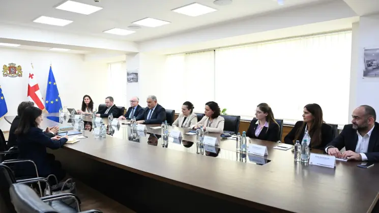 მიხეილ სარჯველაძე ჯანმოს ახალ დირექტორ ჟოაო ბრედას შეხვდა