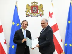 მიხეილ სარჯველაძე ჯანმრთელობის მსოფლიო ორგანიზაციის საქართველოს წარმომადგენლობის ახალ დირექტორს შეხვდა