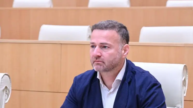 ირაკლი ჭეიშვილი: რასაც დღეს ევროსაბჭო, ევროკავშირი და ზოგადად ევრობიუროკრატია აკეთებს არასწორი მიდგომა საქართველოსთან მიმართებაში