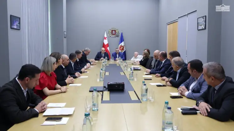 რატი იონათამიშვილმა შეზღუდული შესაძლებლობის მქონე პირთა უფლებების საკითხებზე მომუშავე საკონსულტაციო ჯგუფის შეხვედრაში მიიღო მონაწილეობა