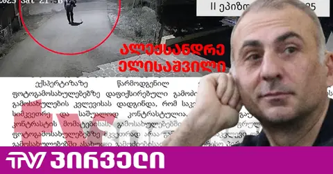ე.წ. ძაღლების საქმე თაროზე შემოდეს - ელისაშვილის ადვოკატები სასამართლოში საქმის დაუყოვნებლივ განახლებას ითხოვენ