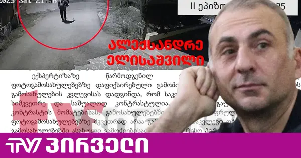 ე.წ. ძაღლების საქმე თაროზე შემოდეს - ელისაშვილის ადვოკატები სასამართლოში საქმის დაუყოვნებლივ განახლებას ითხოვენ