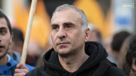 “„ოქროს მოწმეებად“ ჰყავთ მხოლოდ ძაღლები” – ელისაშვილის ადვოკატი