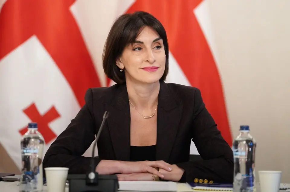 მაკა ბოჭორიშვილი – ვიცით, რამდენად დამანგრეველი შეიძლება იყოს ოკუპაციის გავლენა, გამოცდილებიდან გამომდინარე, საქართველო განსაკუთრებულ მნიშვნელობას ანიჭებს საერთაშორისო სამართლის პატივისცემას