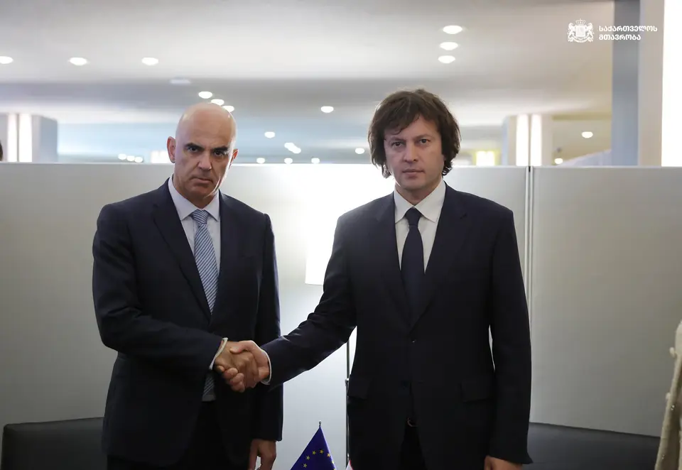 ირაკლი კობახიძე ევროპის საბჭოს გენერალურ მდივანს ალენ ბერსეს შეხვდა