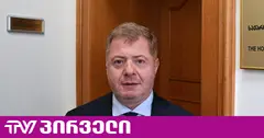 უნგრული მედია საქართველოს საპატიო კონსულს „ოქროს ვიზების“ ბიზნესთან კავშირზე წერს