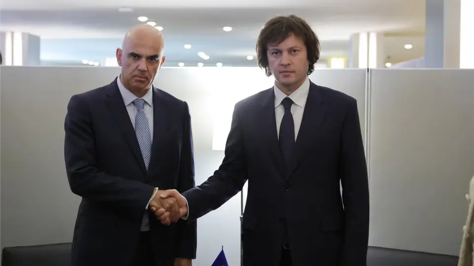 კობახიძე, რომელიც ევროსაბჭოს ბახმაროს სემინარის გამო აკრიტიკებდა, ალან ბერსეს შეხვდა