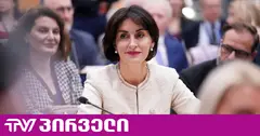 "ვიცით, რამდენად დამანგრეველი შეიძლება იყოს ოკუპაციის გავლენა" - ბოჭორიშვილის სიტყვა უკრაინის მხარდაჭერ სამიტზე