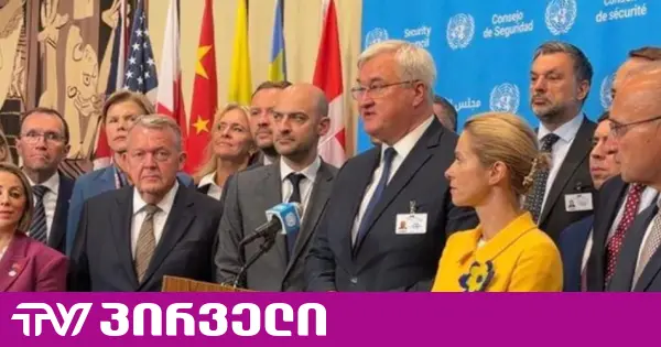 EU-მ და 50 ქვეყანამ, მათ შორის საქართველომ რუსეთს ცეცხლის შეწყვეტისკენ მოუწოდეს