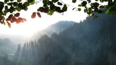 ოკუპირებულ აფხაზეთში „ვულკანის ამოფრქვევა“ უარყვეს