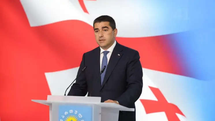 "ლუქსემბურგის ხელისუფლება იქცევა სწორედ ისე, როგორც უნდა იქცეოდეს ევროპული ქვეყანა, რომელმაც უნდა დასვას კითხვები და არ აჰყვეს მზა პასუხებს" - შალვა პაპუაშვილი