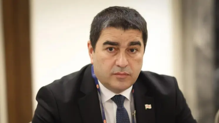 შალვა პაპუაშვილი: ევროკავშირის წევრმა ქვეყნებმა საკუთარი ხმა კიდევ უფრო ხმამაღლა უნდა გააგონონ ბრიუსელს