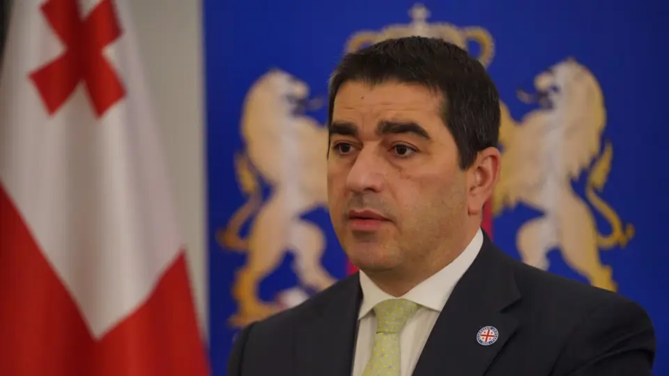 პაპუაშვილის თქმით, ევროკავშირმა უნდა გადახედოს ინტეგრაციის შეჩერების გადაწყვეტილებას
