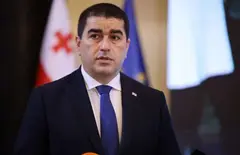 პაპუაშვილი: დადგა მომენტი, როდესაც ევროკავშირმა უნდა გადახედოს თავის მცდარ გადაწყვეტილებას