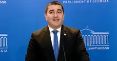 პაპუაშვილი: ოპოზიციური დღეთაღრიცხვით "პროტესტის“ 666-ე დღეა, გადაიქცნენ ფსევდორელიგიურ სექტად