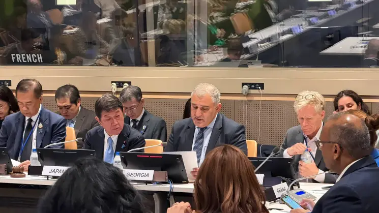 საქართველო საყოველთაო ჯანმრთელობის დაცვის საკითხებზე მეგობართა ჯგუფის თანათავმჯდომარე ქვეყანაა - მიხეილ სარჯველაძე გაეროს გენერალური ასამბლეის ფარგლებში გამართულ შეხვედრაზე სიტყვით გამოვიდა