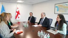 მიხეილ სარჯველაძე აშშ-ში არაგადამდები დაავადებების ალიანსის ხელმძღვანელებს შეხვდა