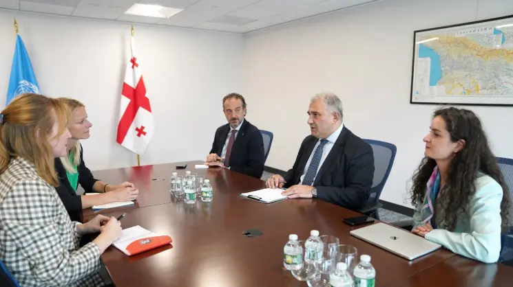 მიხეილ სარჯველაძე აშშ-ში არაგადამდები დაავადებების ალიანსის ხელმძღვანელებს შეხვდა