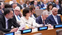 ყირიმის საერთაშორისო პლატფორმაზე მაკა ბოჭირიშვილმა უკრაინისადმი საქართველოს მხარდაჭერას გაუსვა ხაზი