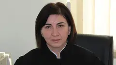მოსამართლე პოლიტიკოსების შეურაცხყოფის მუხლს საკონსტიტუციოში ასაჩივრებს