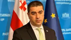 „იმედგაცრუებული ვარ ჰერჩინსკის ქცევით... ვის რაში სჭირდება მისი დამტვრეული ქართული" - პაპუაშვილი