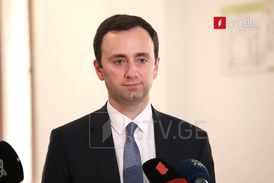 ლევან მახაშვილი – გაუგებარია, რაღაც არ მოგწონდეს და გამოსწორების გზად დიალოგის მაგიდის აყირავება მიგაჩნდეს, ეს არაა დაღვინებული ევროპული პოლიტიკა, საქართველო ითხოვს სამართლიან მიდგომას