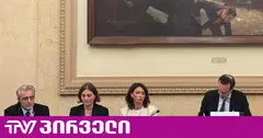 ნუ დატოვებთ საქართველოს მოქალაქეებს მარტო - ეკა გიგაურის გამოსვლა საფრანგეთის ეროვნულ ასამბლეაში