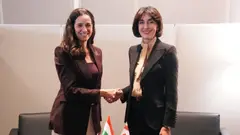 მაკა ბოჭორიშვილი უნგრელ კოლეგას შეხვდა