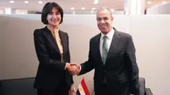 საქართველოს საგარეო საქმეთა მინისტრი ეგვიპტელ კოლეგას შეხვდა