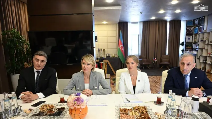 საქართველოს საპარლამენტო დელეგაციის წევრებმა, აზერბაიჯანში ვიზიტის ფარგლებში, მილი მეჯლისის კომიტეტების წარმომადგენლებთან შეხვედრები გამართეს