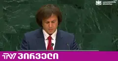 კობახიძემ გაეროს ტრიბუნიდან ოკუპაციის კონტექსტში რუსეთი ახსენა