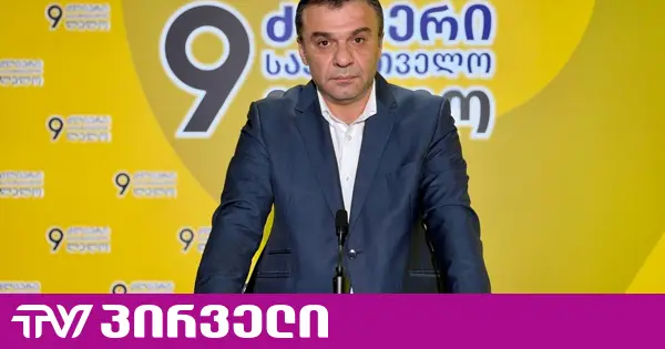 404 მილიონი ლარი ამოუღეს საქართველოს მოქალაქეებს ჯიბიდან ჯარიმებისა და საურავების სახით - ლევან სამუშია