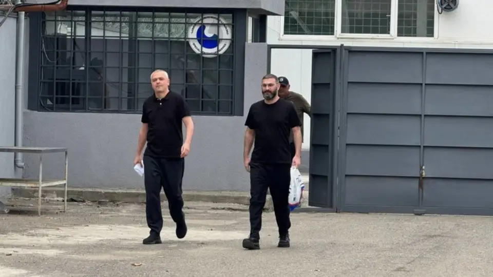 ვასილ მხეიძე და გიორგი ხაინდრავა გათავისუფლდნენ
