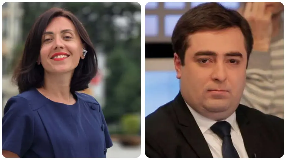 “ანი წითლიძე გაფუჭებული რადიოსავით იმეორებს: “ივანიშვილი კლავს“ – ნიკოლოზ მეტრეველი