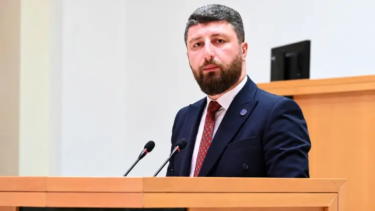 "ნაცპროპაგანდისტ ქალბატონ ანი წითლიძეს შეუძლია, მეგის ქარდავას, დათა ახალაიას, ბაჩო ახალაიას სახლებთან ჩამოდგეს და იქ ჩაატაროს აქციები - სისხლიანი რეჟიმის ერთ-ერთ მთავარ შემოქმედებთან" - არჩილ გორდულაძე