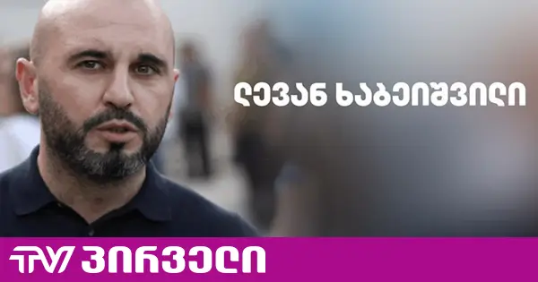 ნუღარ იღლებით პარტიების აკრძალვის თემით! ქვეყანა აკრძალეს! - ხაბეიშვილი
